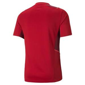 PUMA teamCUP Training Jersey Chili Pepper-Cordovan-Red Blast 656735-01