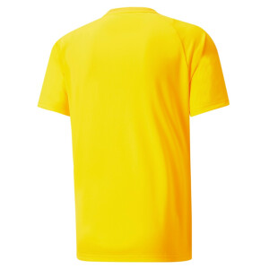 PUMA teamVISION Jersey Cyber Yellow-Spectra Yellow-Puma...