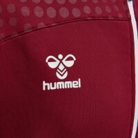 Hummel hmlLEAD ZIP POLY HOODIE BIKING RED 207411-3584