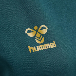 Hummel hmlCIMA XK HOODIE WOMAN BLUE CORAL 211578-7058