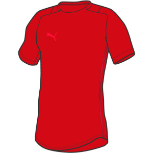 PUMA teamCUP Casuals Tee Chili Pepper-Cordovan 657975-01