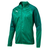 PUMA CUP Training Poly Jacket Core Pepper Green-Alpine Green 656014-05