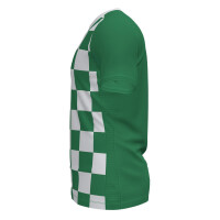 JOMA FLAG II T-SHIRT GREEN-WHITE S/S 101465.452